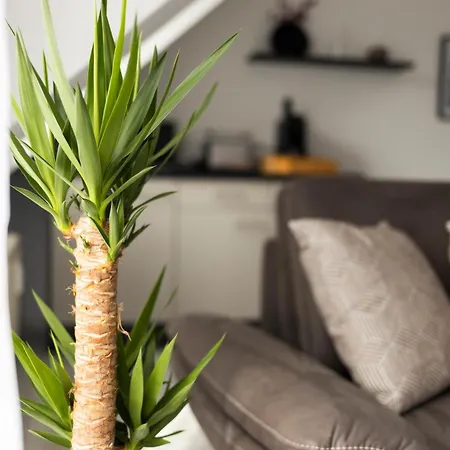 Cityoase Im Hansapark, Studio 1, Tiefgarage, Netflix, Wi-fi, Balkon * Magdeburg